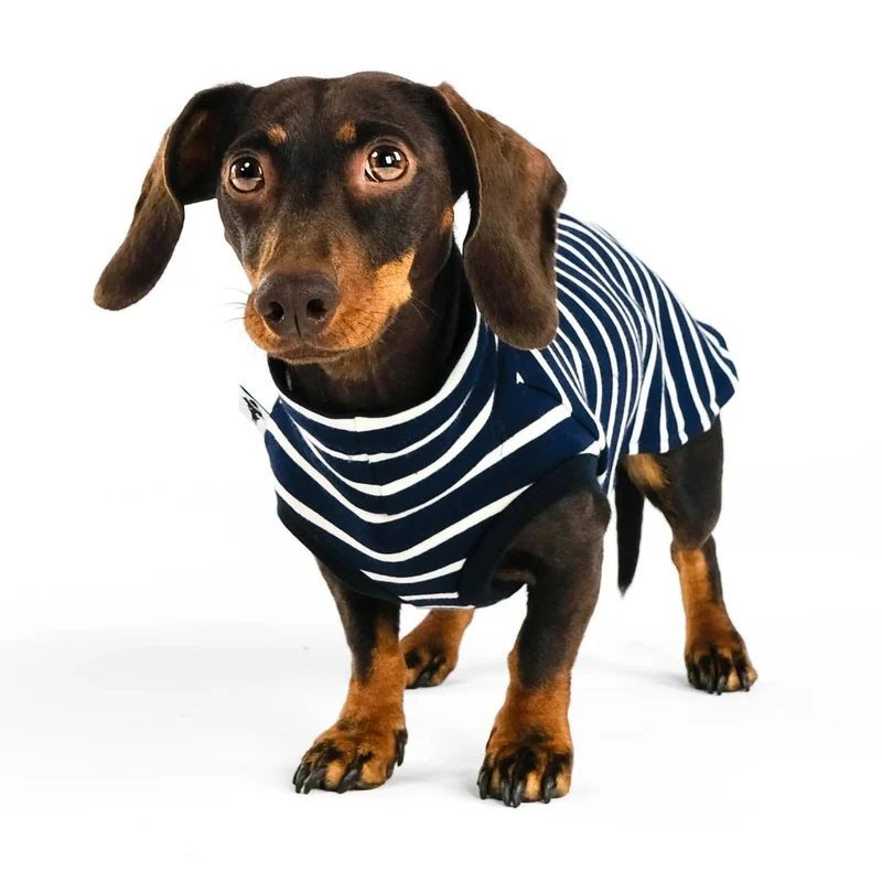 Cotton Shirt für Dackel Stripes Navy