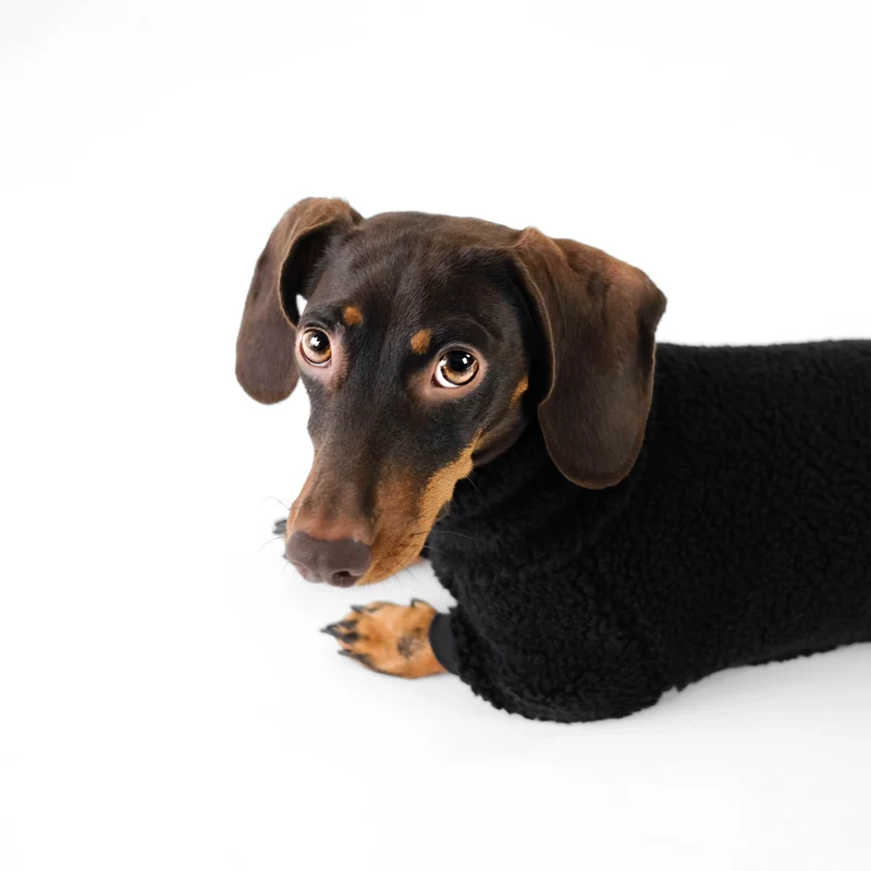 TEDDY Overall für Dackel Schwarz