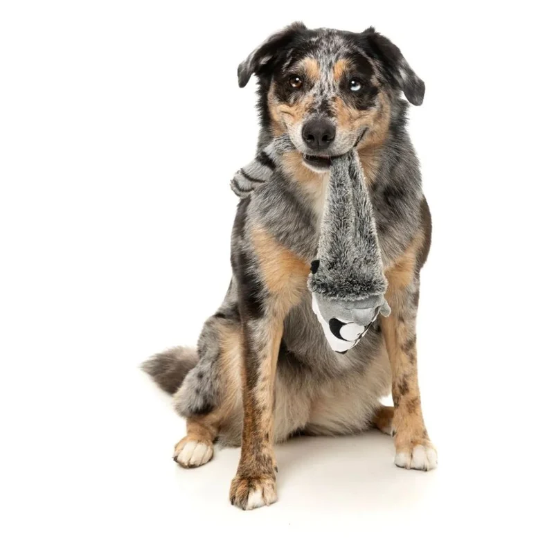 Hundespielzeug The Yeetz - Run Along Racoon