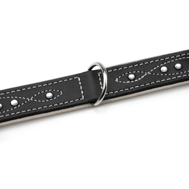 Sternfalbe Lederhalsband für Hunde