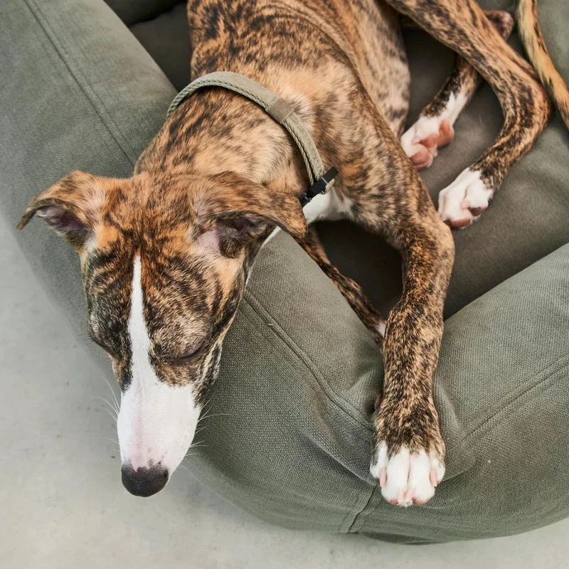 Comodo Hundebett Greige