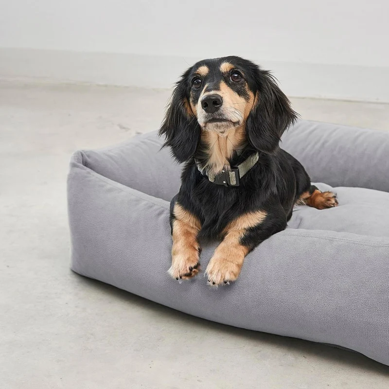 Comodo Hundebett Greige