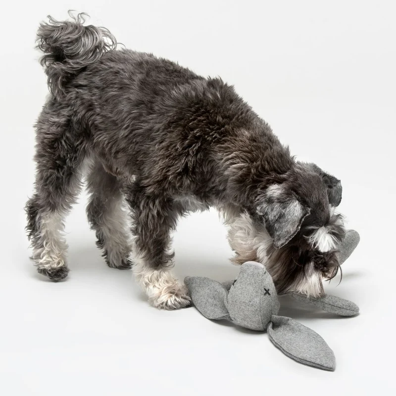 Hundespielzeug Rupert Rabbit