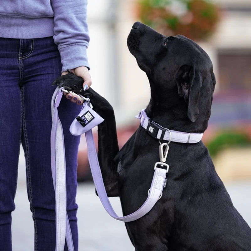 Max & Molly Matrix 2.0 Gotha Smart ID Halsband für Hunde | tiierisch.de