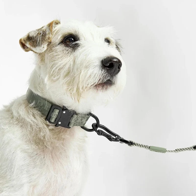 Modena Hundehalsband Grolive