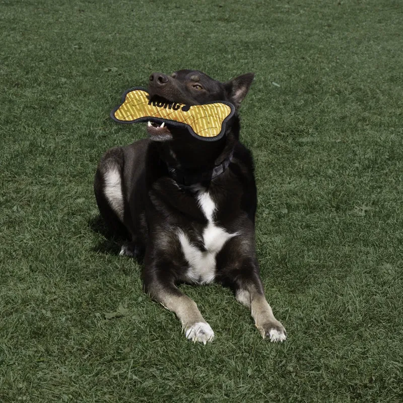 KONG Armor Bone Hundespielzeug – Spielspaß für deinen Vierbeiner