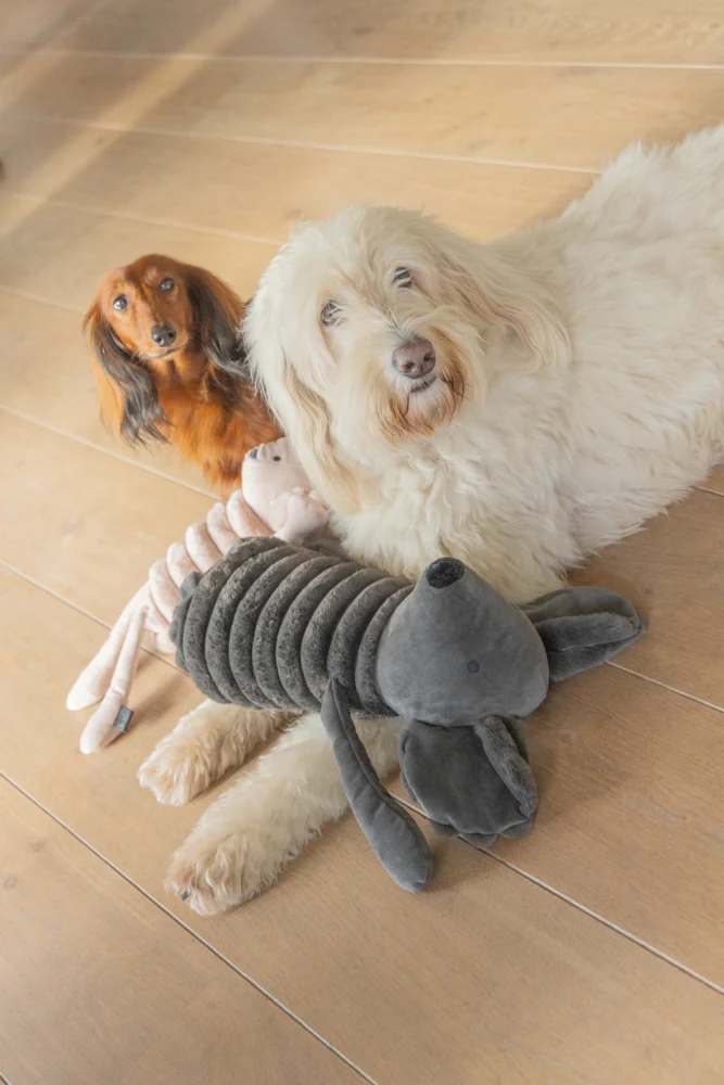 Designed by Lotte Reza Maus – Plüsch-Hundespielzeug in Anthrazit