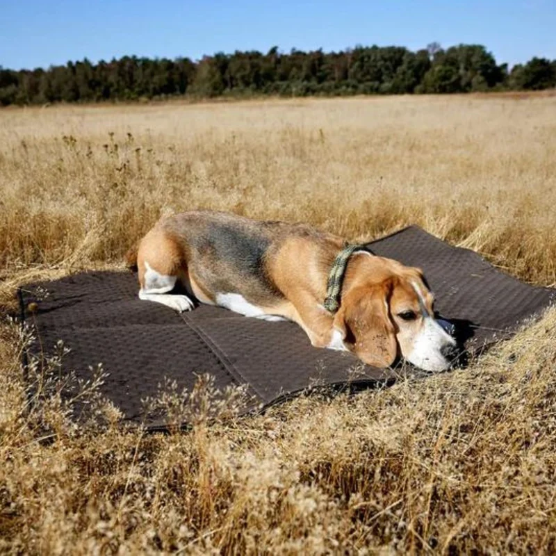 Hundemattentasche Nobo Anthrazit