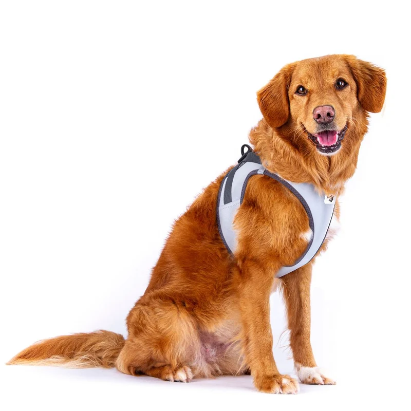 Hundegeschirr Glow Clasp Vest Harness Reflective Grey