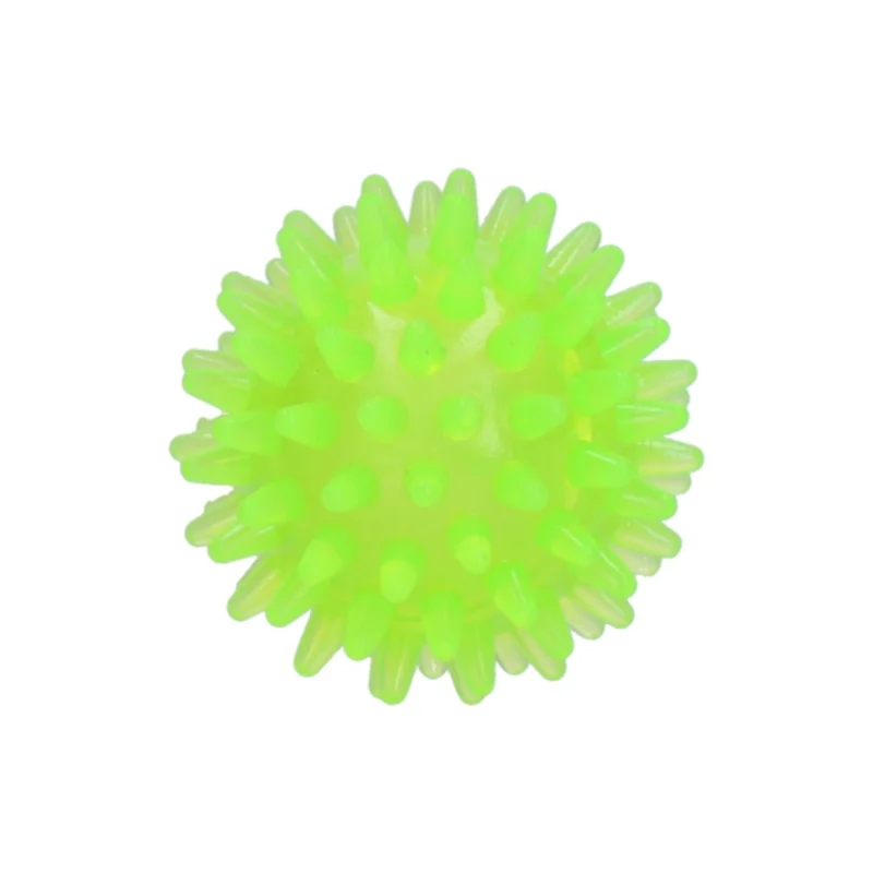 Hundespielzeug Exoplanet Igel-Ball