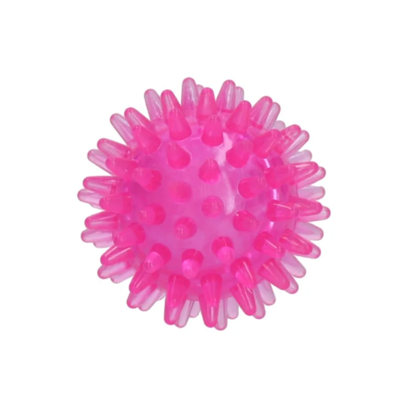 Hundespielzeug Exoplanet Igel-Ball