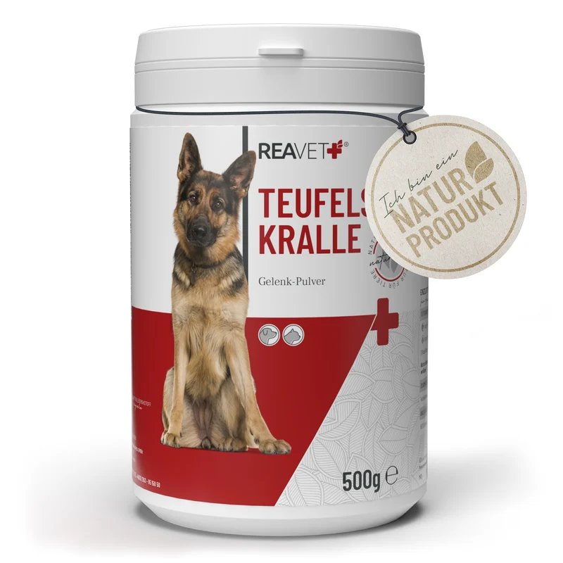 Teufelskralle