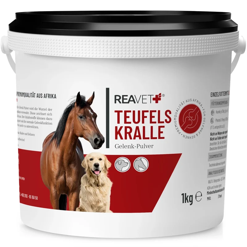 Teufelskralle