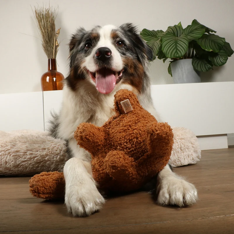 D&D Home Liz Hundespielzeug aus weichem Teddystoff