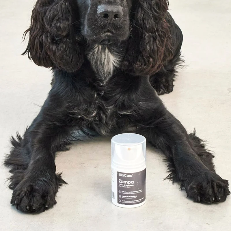 Zampa Pfoten- und Nasenbalsam