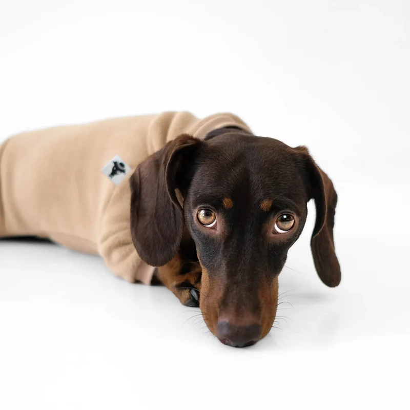 Fleece Overall für Dackel Sand Beige