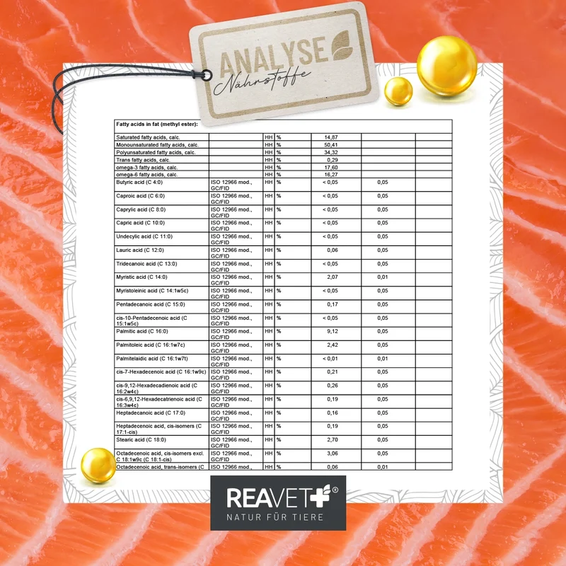 Omega-3 Lachsöl