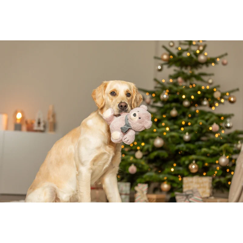 Xmas Weihnachten Teddy aus Softplüsch Hundespielzeug