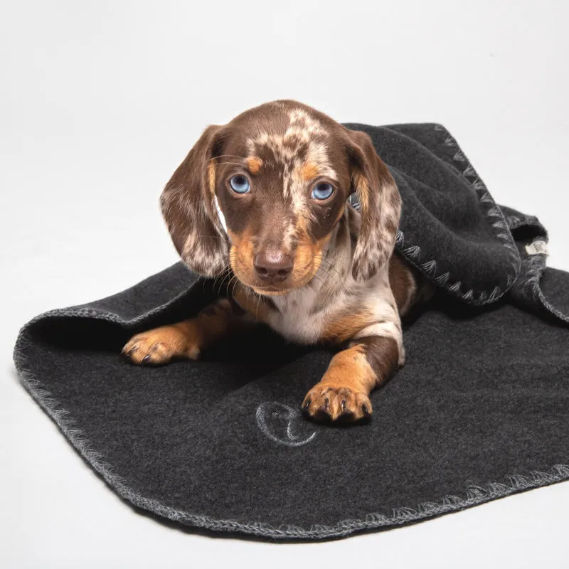 Hundedecke Soft Fleece Dark Grey