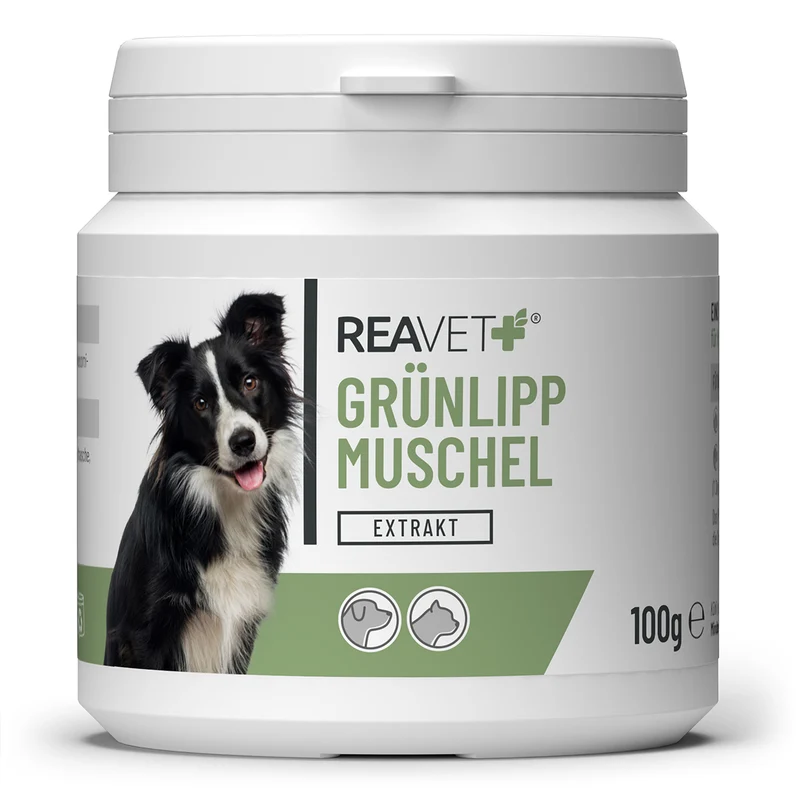 Grünlippmuschel Extrakt