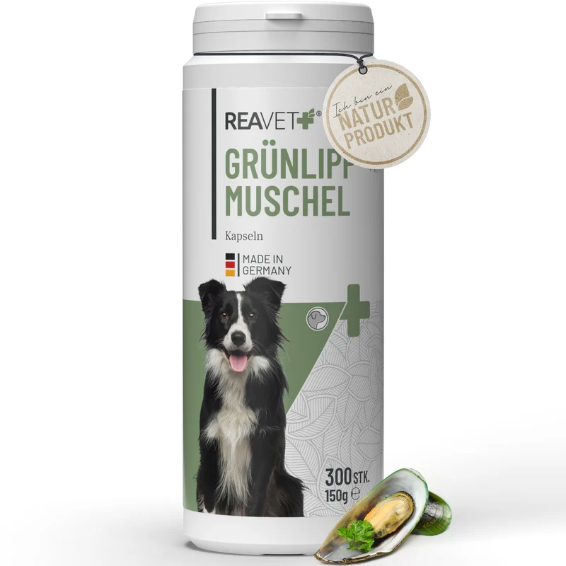 Grünlippmuschel Kapseln