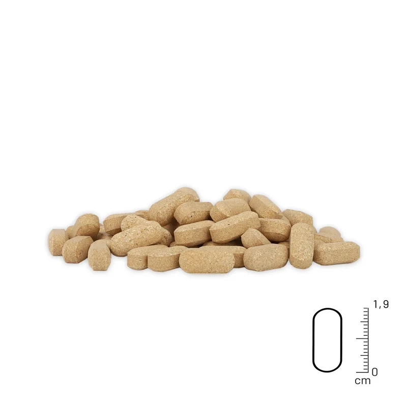 Gelenktabletten Senior