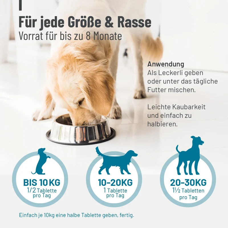 Gelenktabletten Forte