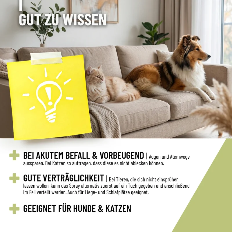 Floh Spray