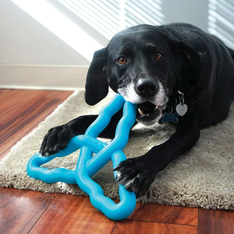 KONG Flyangle – Apportierspielzeug für Hunde | schwimmfähig & zahnschonend | Frisbee