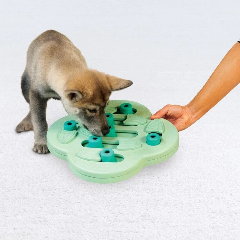 Puppy Hide N' Slide Hundestrategiespiel