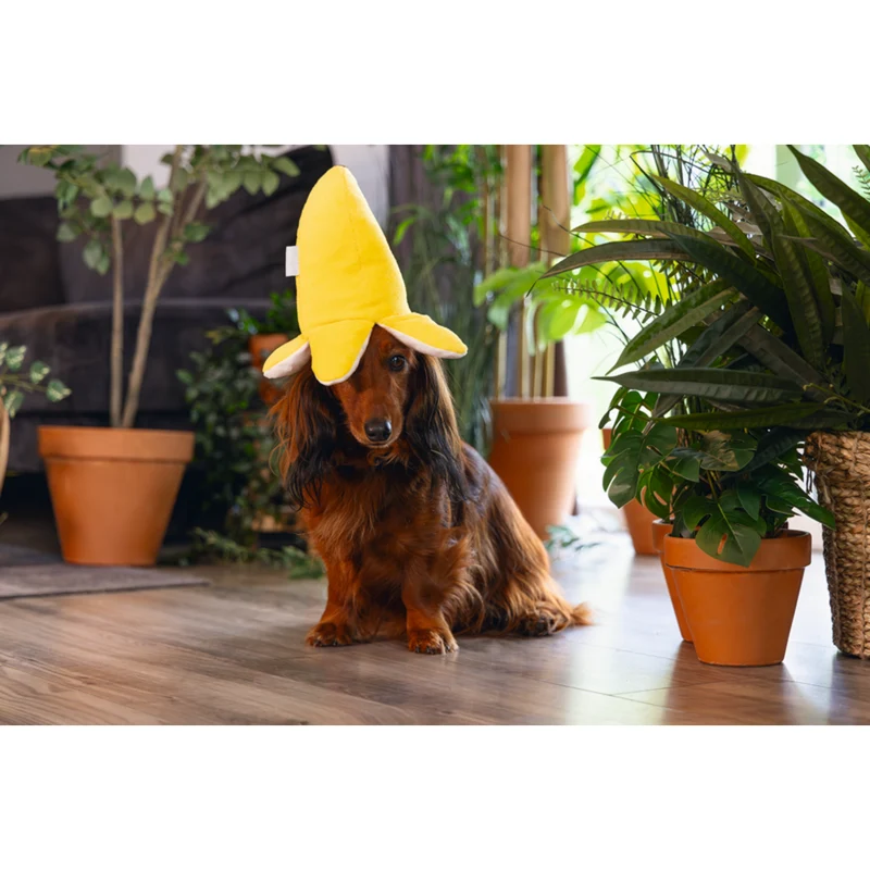 Beesztess 2 in 1 Plüschspielzeug Dschungel Biba für Hunde