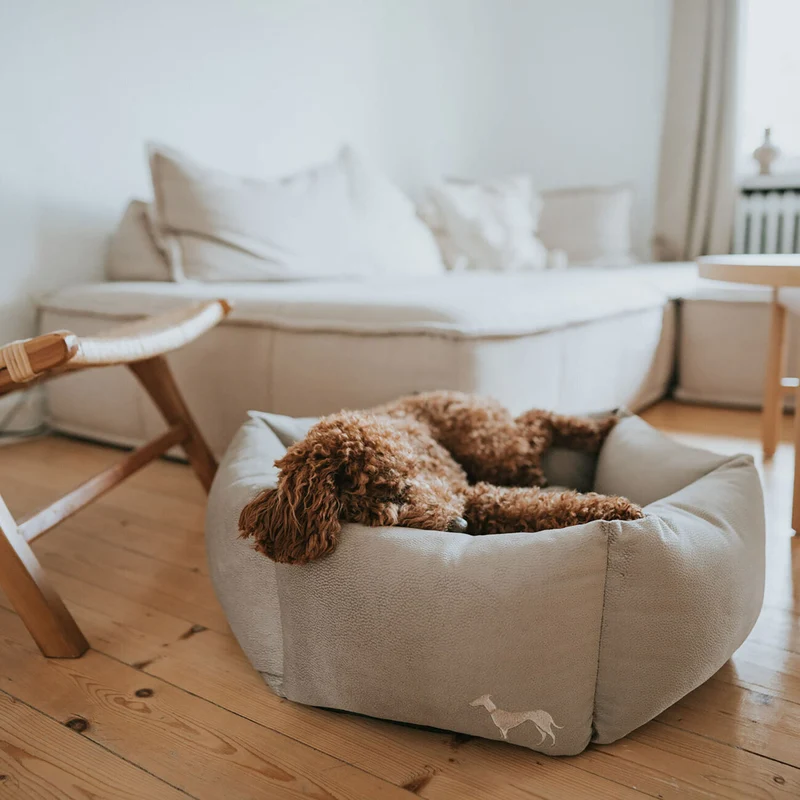 Orthopädisches Hundesofa Merida 6-eckig