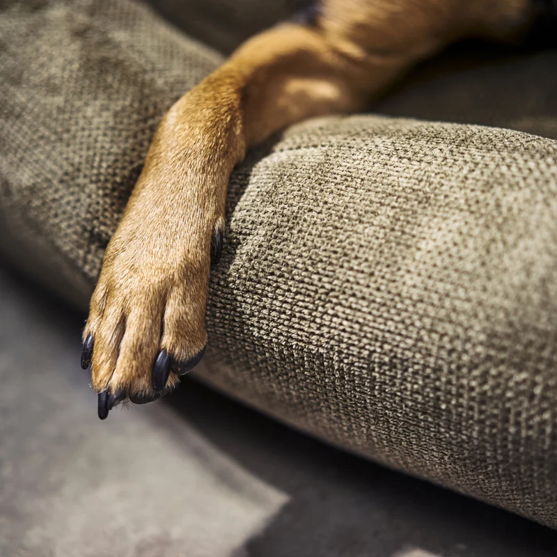 Hundebett Tudor Ortho oder Classic Olive