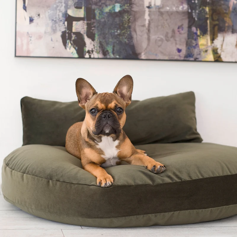 Hundekissen Luna Lounge Oxford Olive