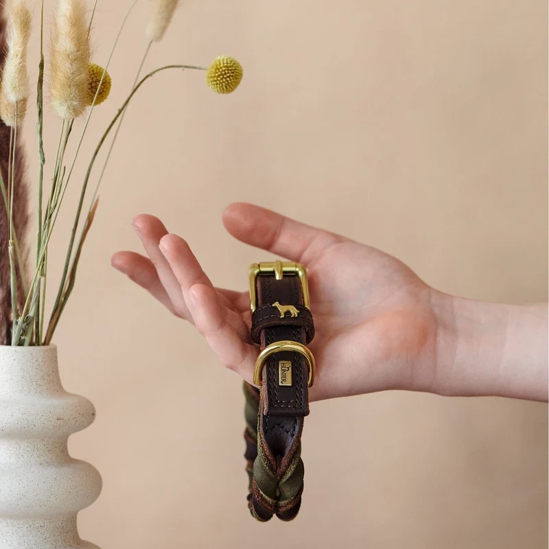 Halsband Solid Education Duo
