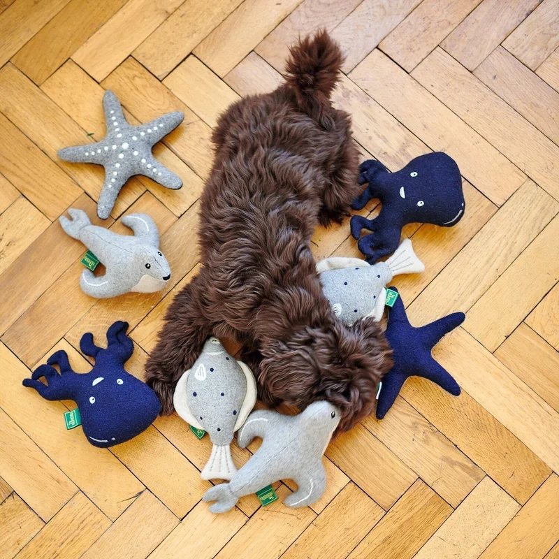 Hundespielzeug Skagen