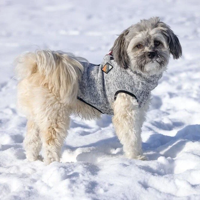 Beeztees Hundepullover Celia – Mit Reflexionsstreifen & Doppelreißverschluss