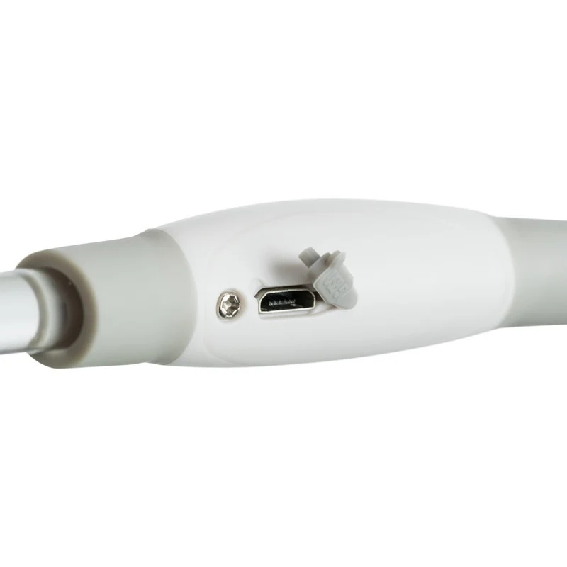 Flash Leuchtring für Hunde USB