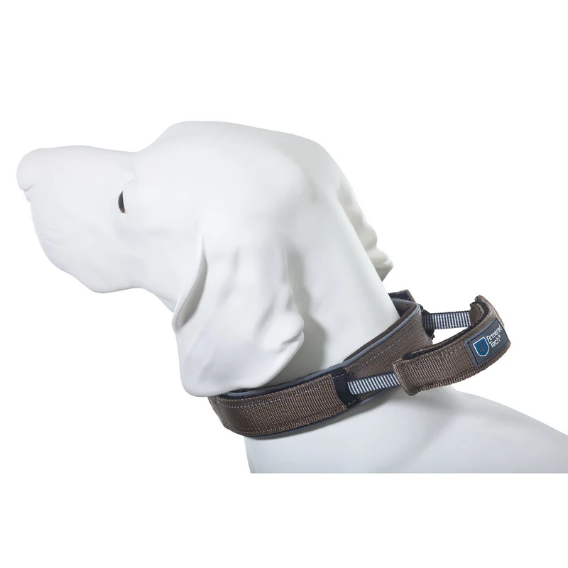 Hundehalsband mit Griff