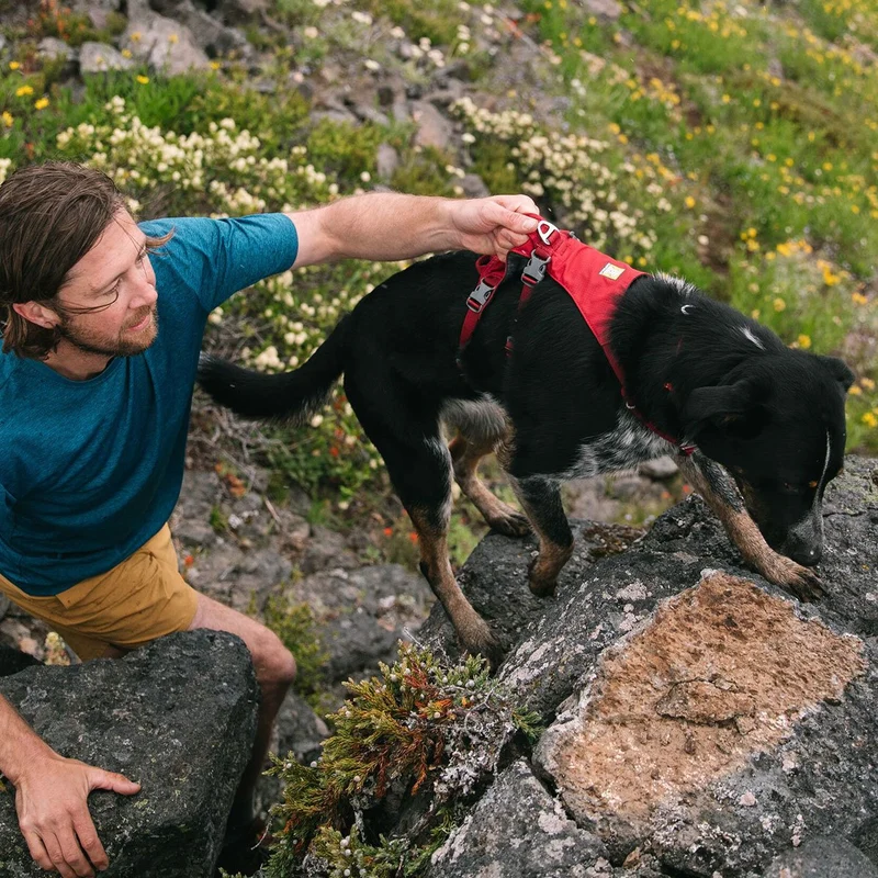 Ruffwear Hundegeschirr Flagline