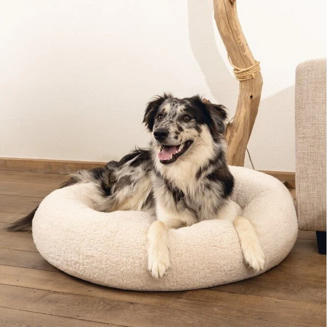 Orthopädisches Hundebett Jaxx, rund