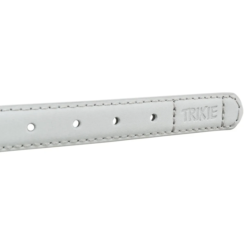 Be Nordic Leder Halsband für Hunde