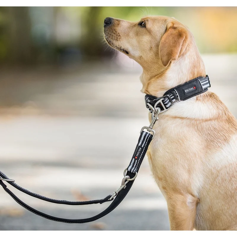 Wolters Hundehalsband Active Pro