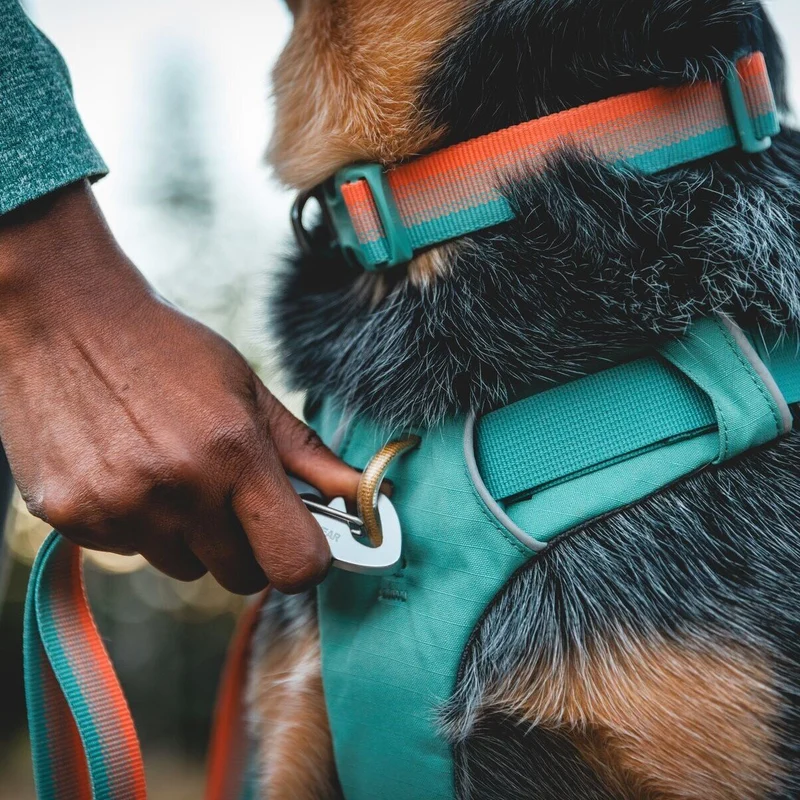 Front Range Collar Hundehalsband 2.0