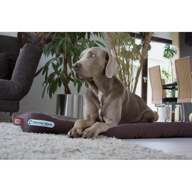 Doctor Bark Hundekissen – komplett waschbar bis 95 °C