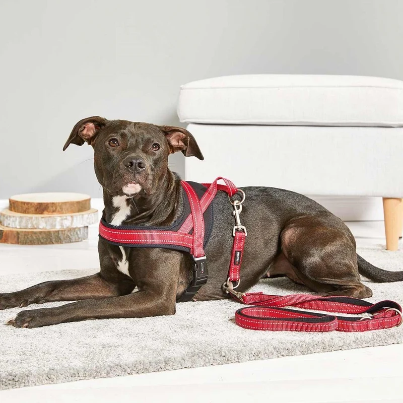 Wolters Hundegeschirr Soft & Safe reflektierend