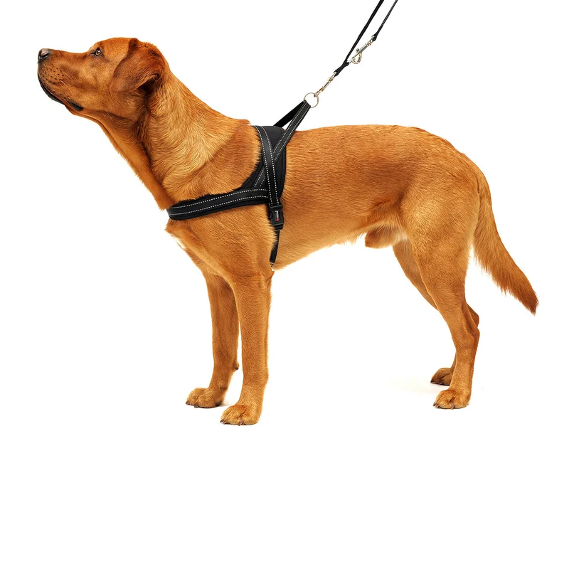 Wolters Hundegeschirr Soft & Safe reflektierend