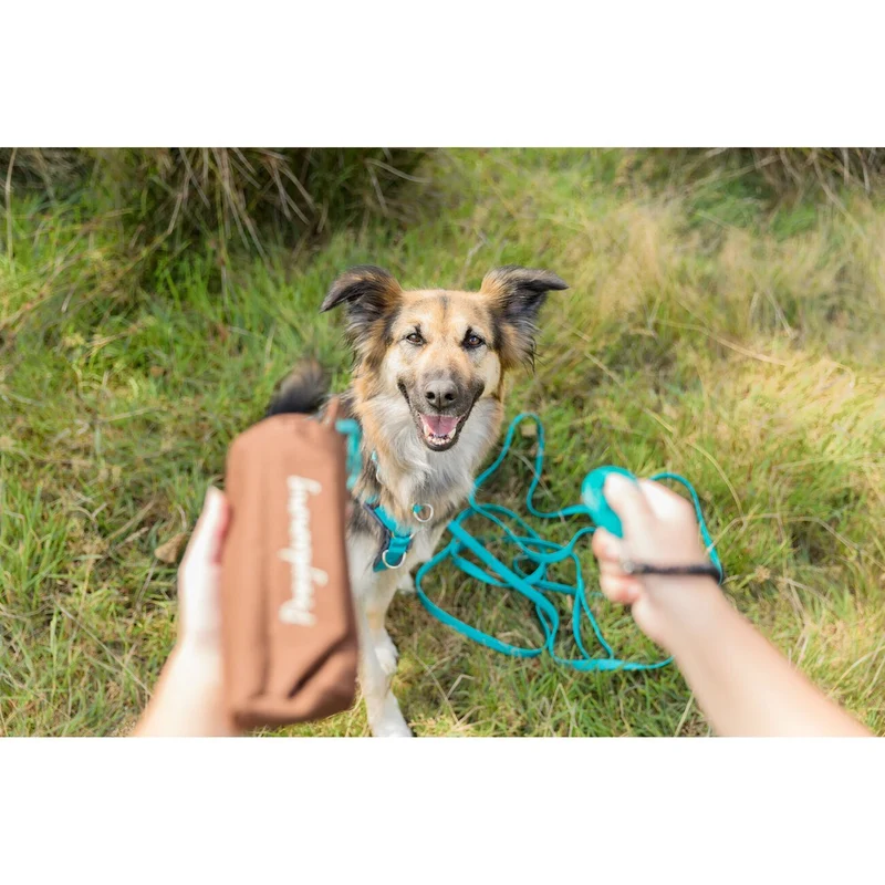 Easy Life Schleppleine mit Handschlaufe