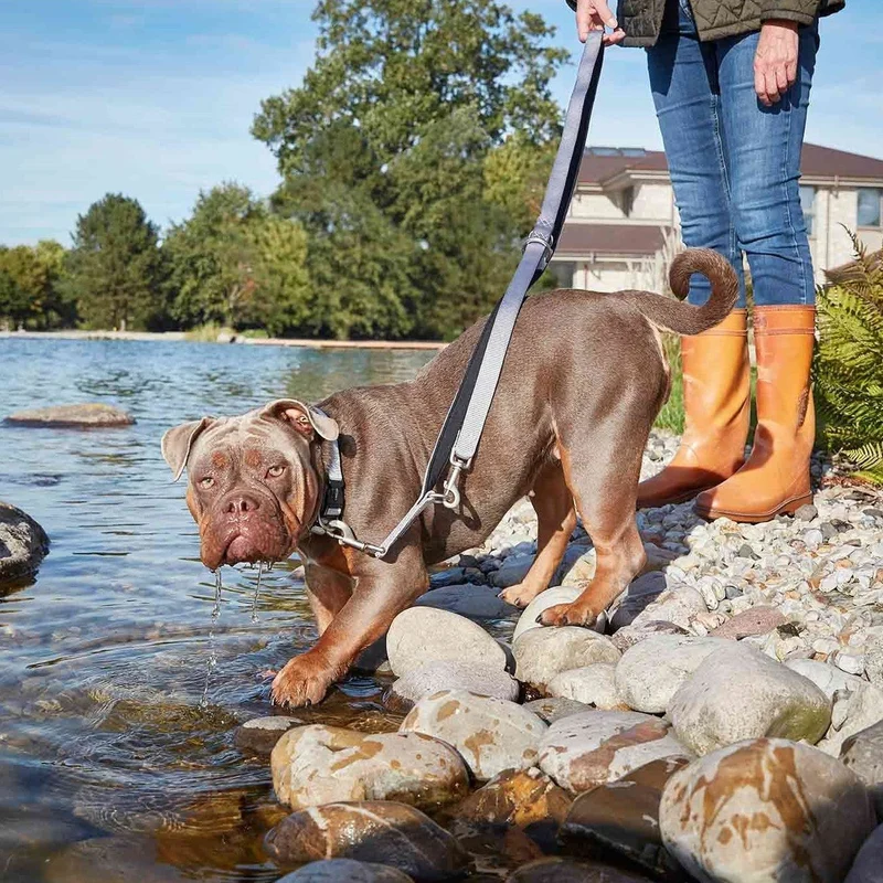 Wolters Hundeleine Professional Comfort