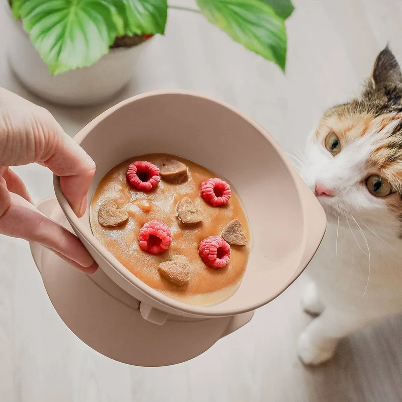 Ne&no® Erhöhter Silikon Futternapf + verstellbare Neigung